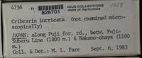 Image Associated With the Occurence